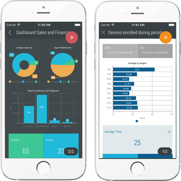 charts-in-access-overview-instructions-and-video-lesson